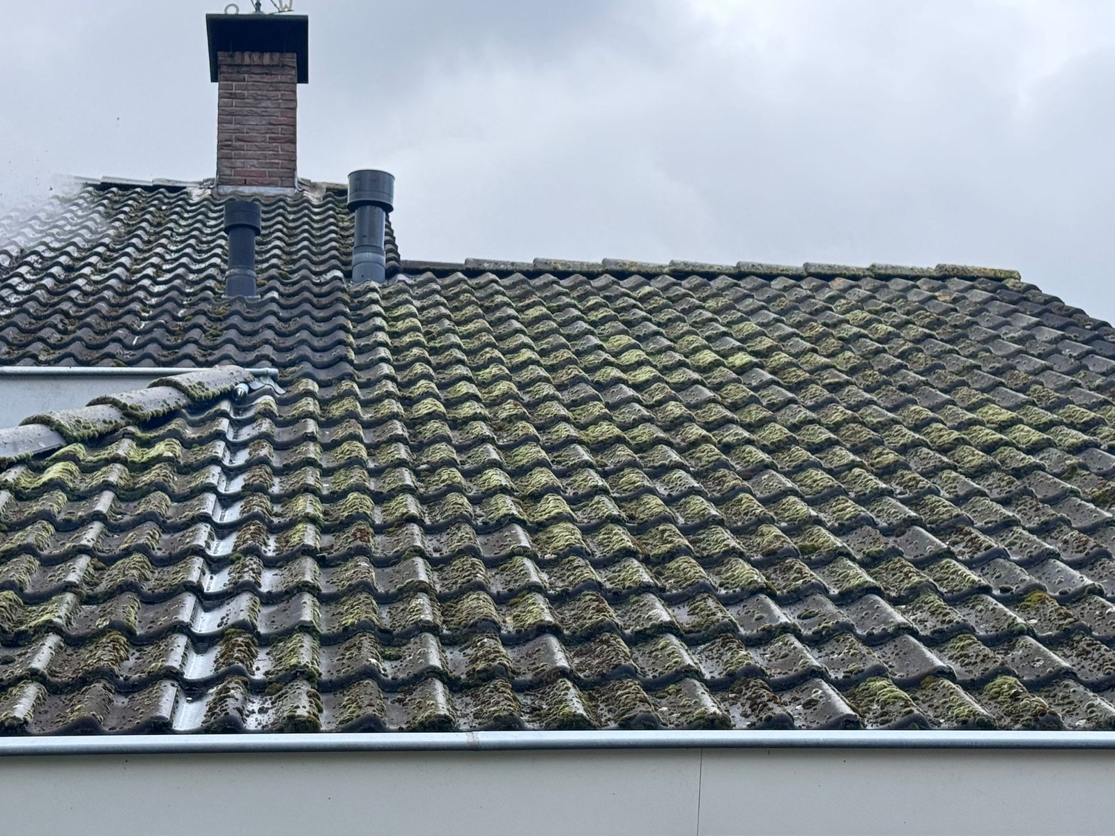 vies dak met dakpannen